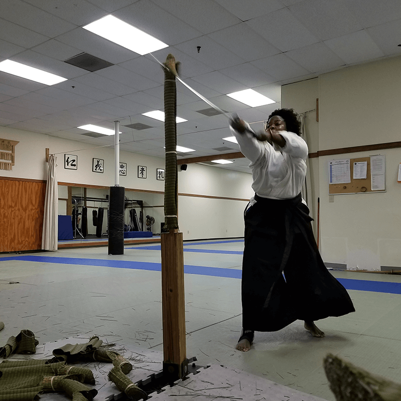 shinkendo - lilian raji